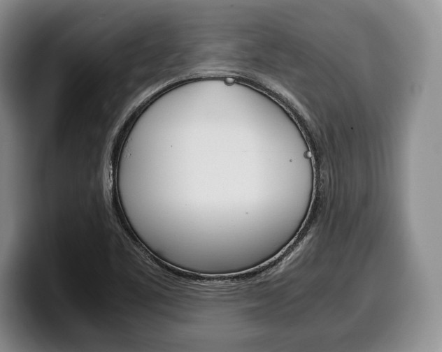 X0000100341461200806051214