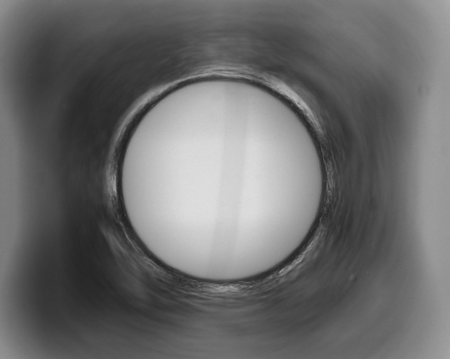 X0000100341462200806051214