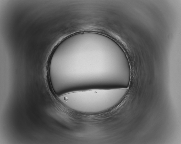 X0000100341463200806051214