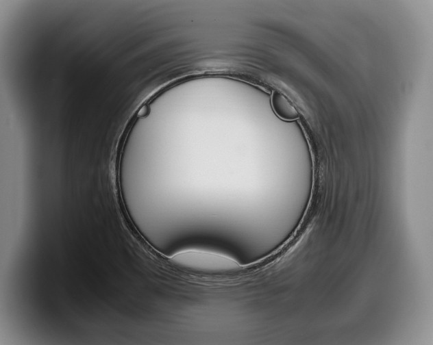X0000100341465200806051214