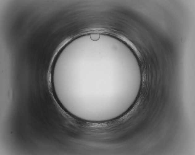 X0000100341466200806051214