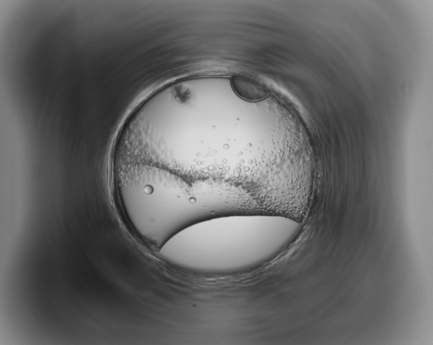 X0000100341467200806051214