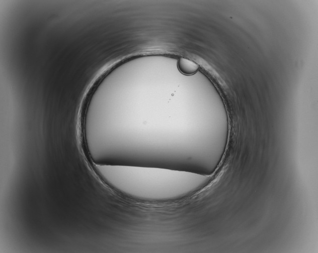 X0000100341469200806051214