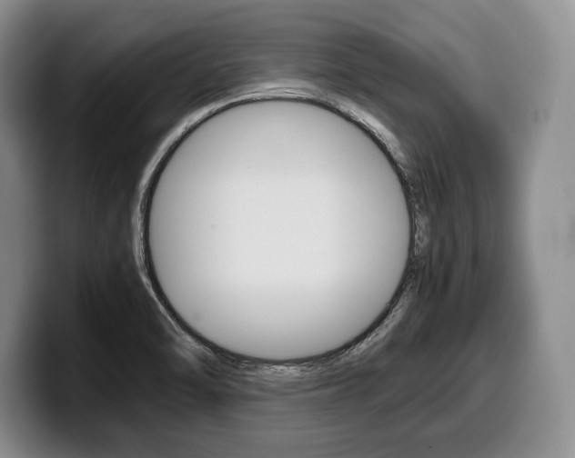 X0000100341470200806051214