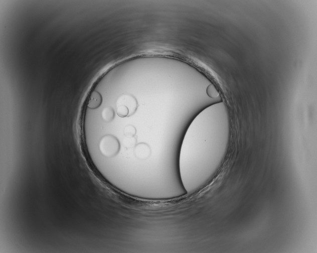 X0000100341471200806051214