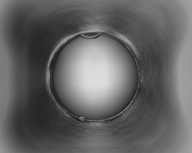 X0000100341472200806051214