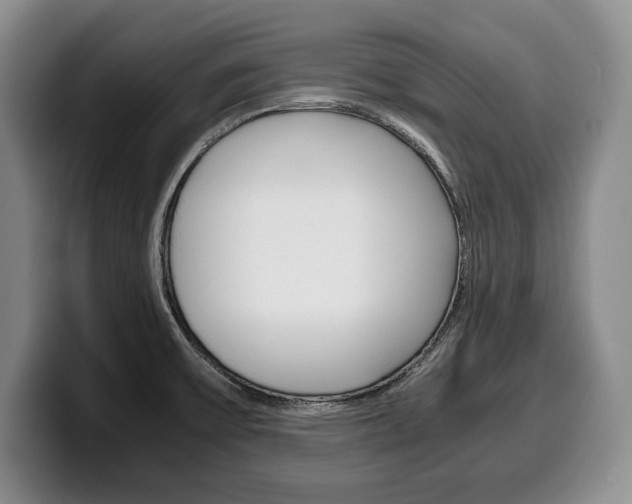 X0000100341475200806051214