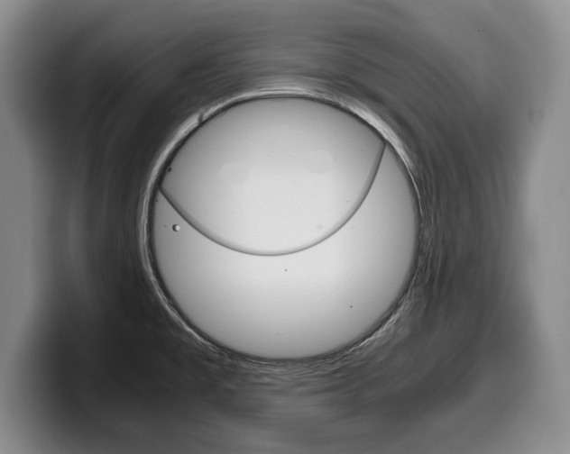 X0000100341477200806051214