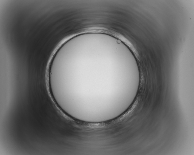 X0000100341478200806051214