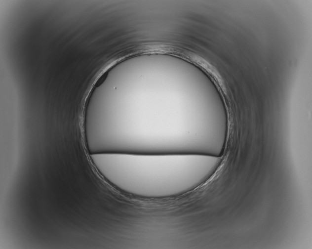 X0000100341481200806051214