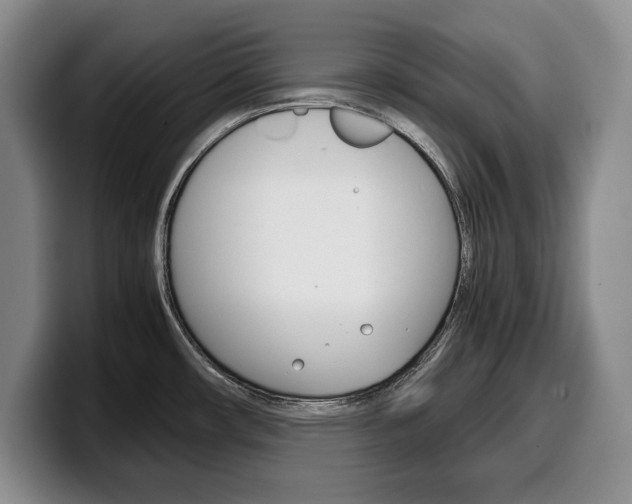 X0000100341482200806051214