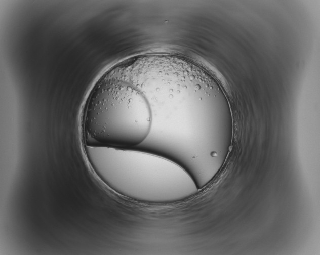 X0000100341483200806051214