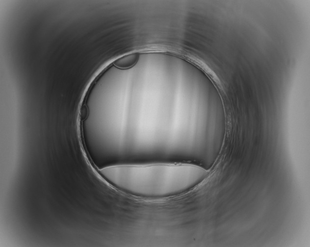 X0000100341484200806051214