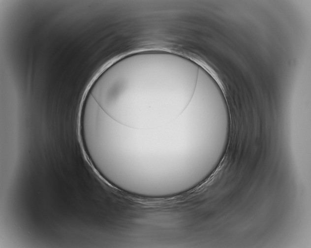 X0000100341485200806051214