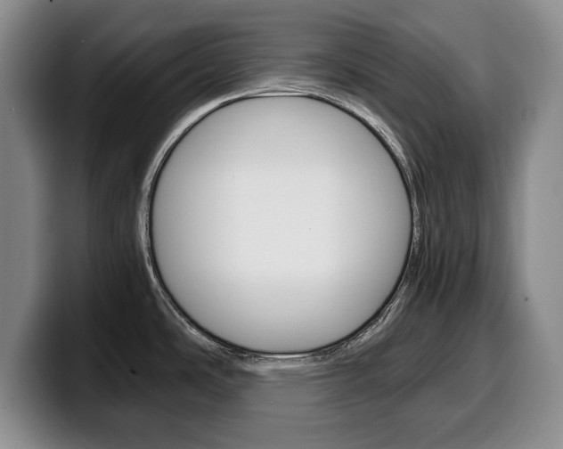 X0000100341486200806051214