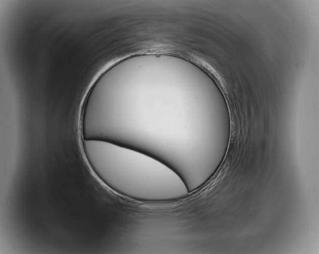 X0000100341487200806051214