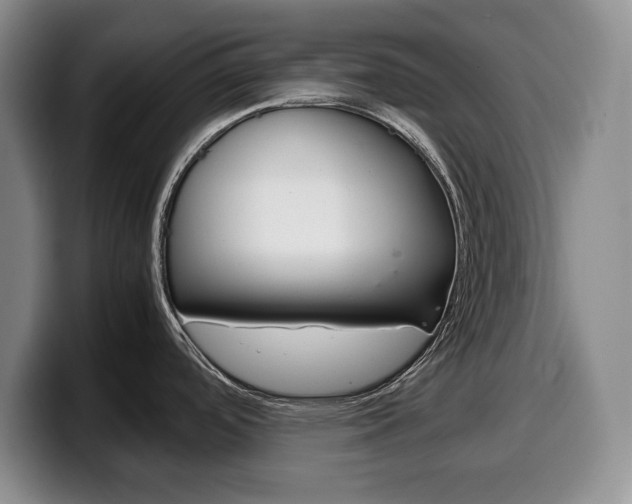 X0000100341488200806051214