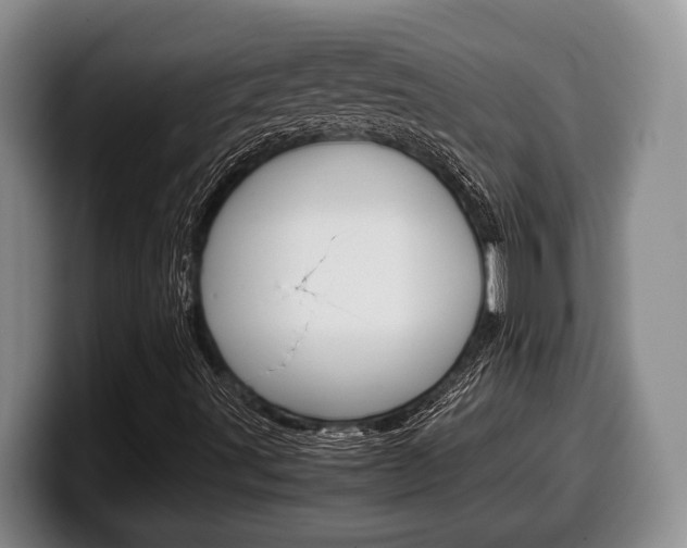 X0000100341491200806051213