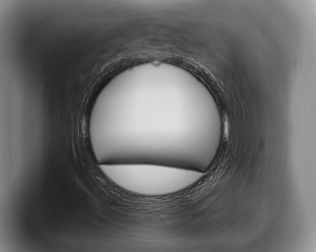 X0000100341492200806051213