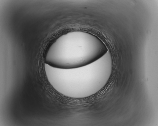 X0000100341493200806051213