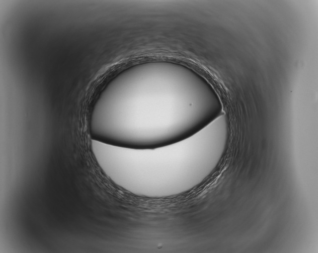 X0000100341494200806051213