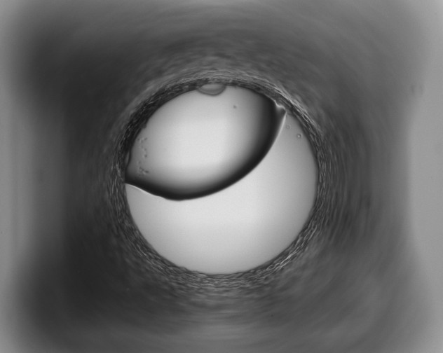 X0000100341495200806051213