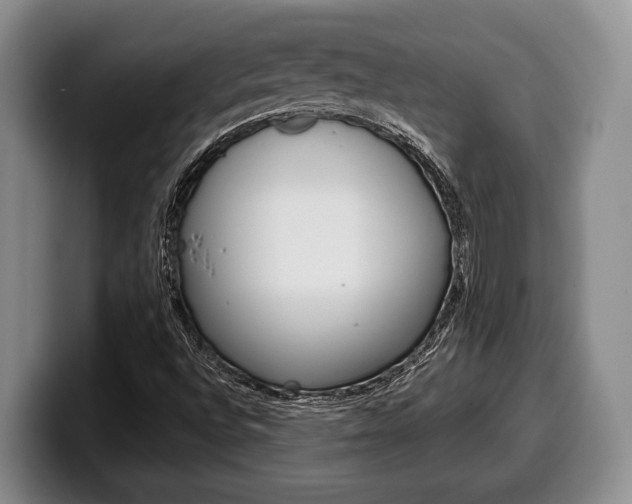 X0000100341496200806051213