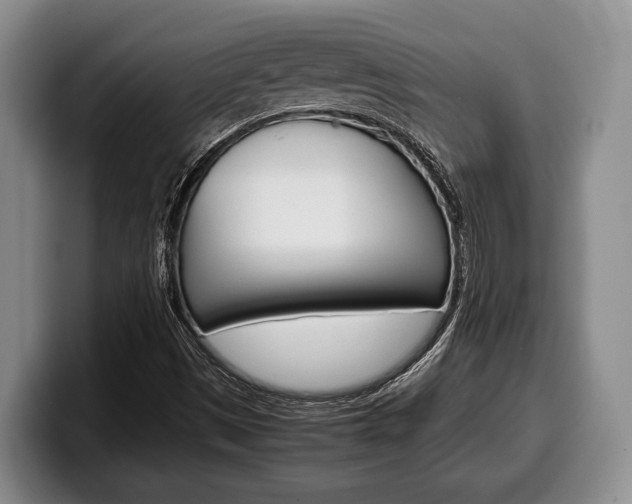 X0000100341497200806051213