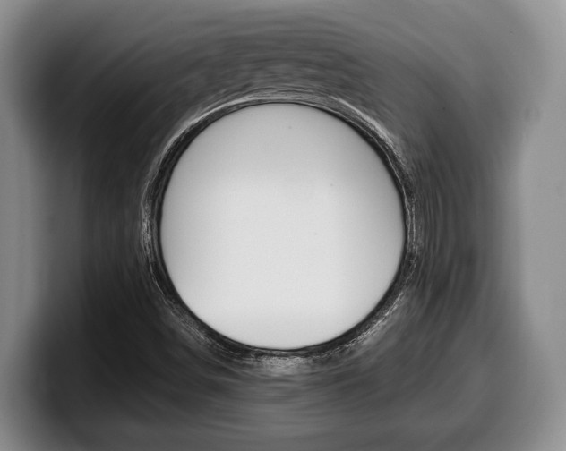 X0000100341498200806051213
