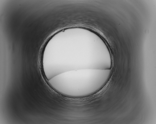 X0000100341500200806051214
