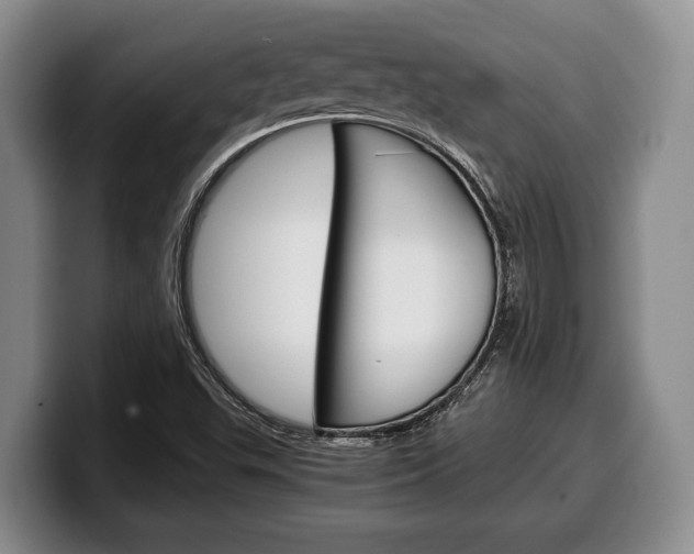 X0000100341503200806051214