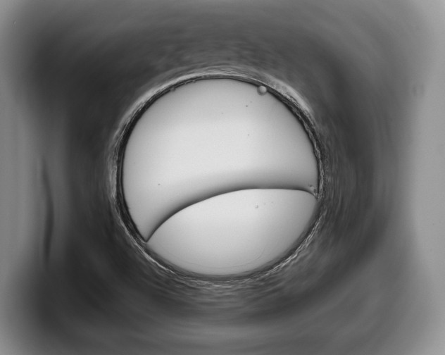 X0000100341504200806051214