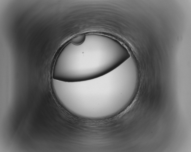 X0000100341505200806051214
