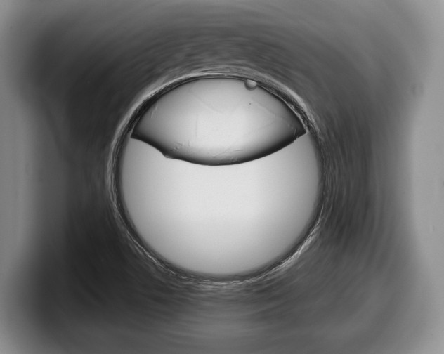 X0000100341506200806051214