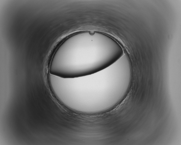 X0000100341507200806051214