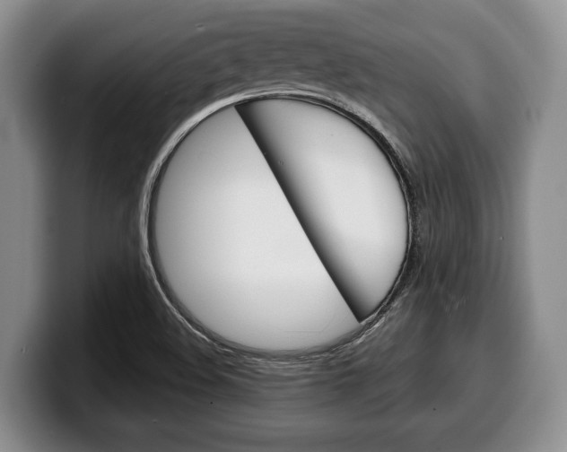 X0000100341508200806051214