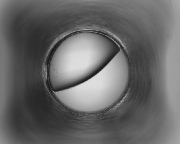 X0000100341509200806051214