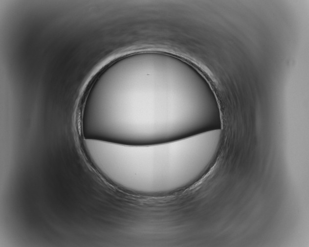 X0000100341510200806051214