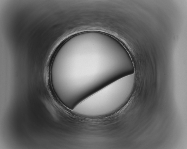 X0000100341511200806051214
