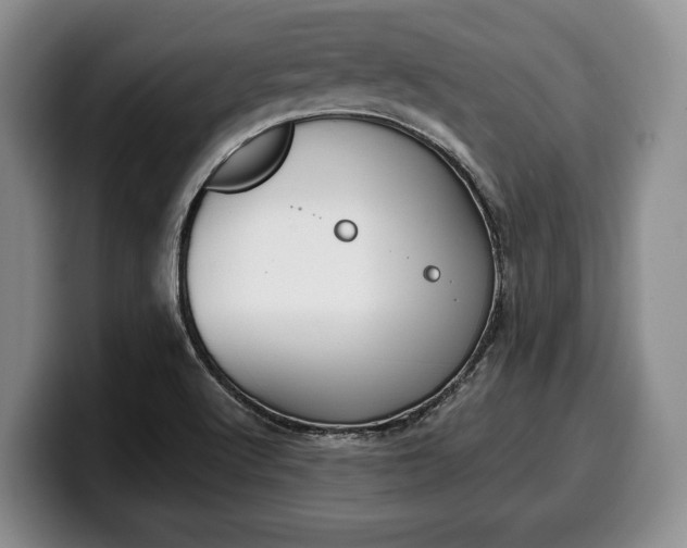 X0000100341512200806051214
