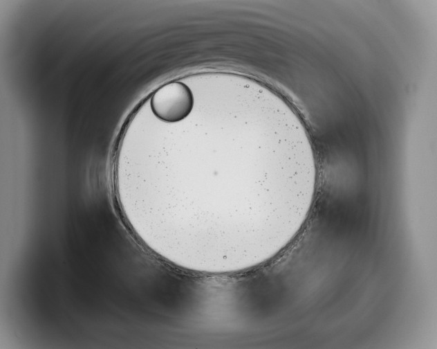 X0000100341514200806051214