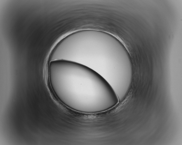X0000100341515200806051214