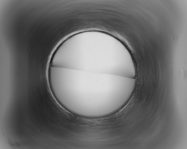 X0000100341516200806051214
