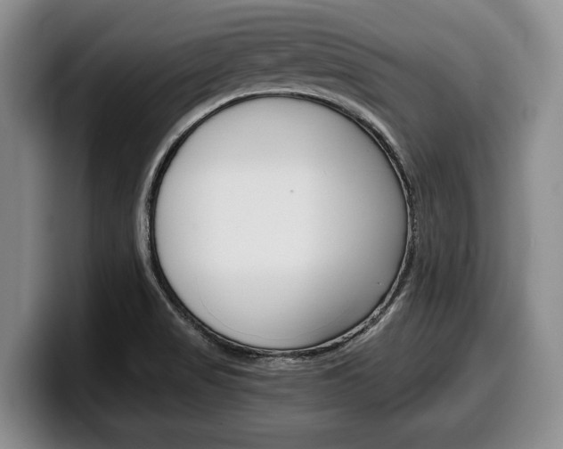 X0000100341517200806051214