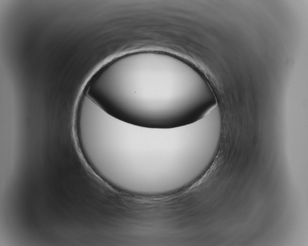 X0000100341518200806051214