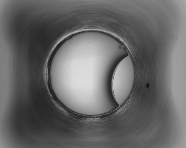X0000100341519200806051214