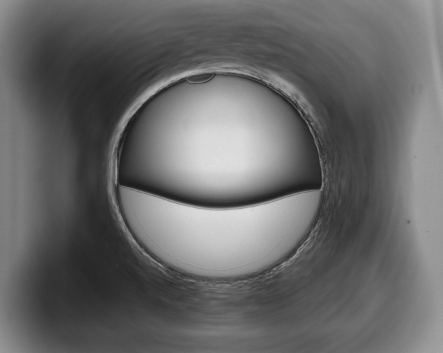 X0000100341520200806051214