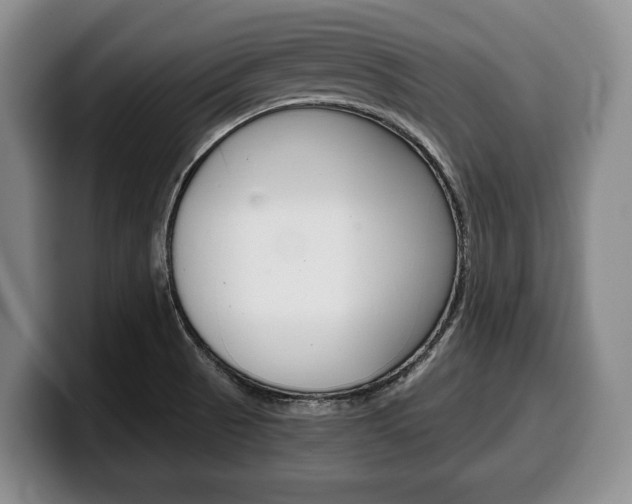 X0000100341521200806051214