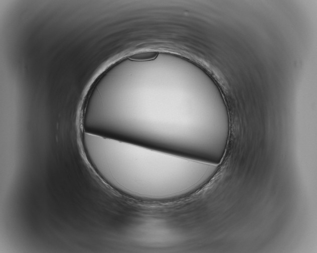 X0000100341522200806051214
