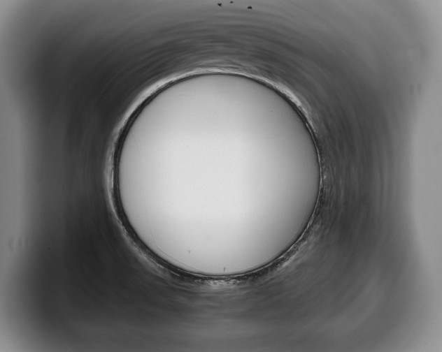 X0000100341523200806051214